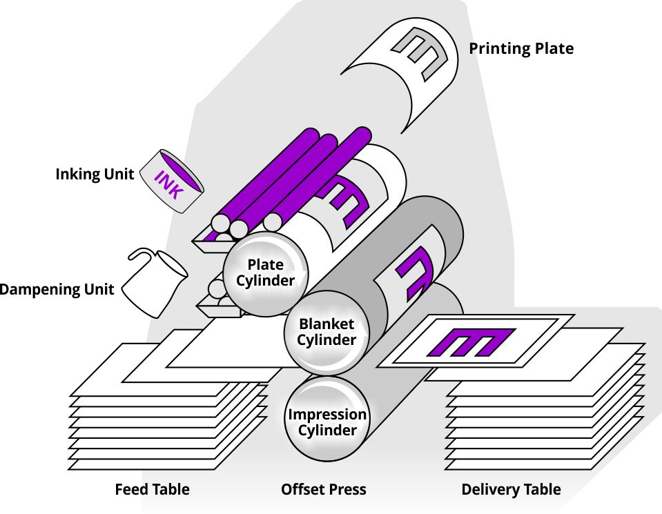 Illustration showing the litho printing process, where ink is transferred from a printing plate to a rubber blanket and then onto paper, demonstrating how offset litho printing produces consistent high quality print results.

